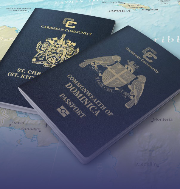 citizenship-program