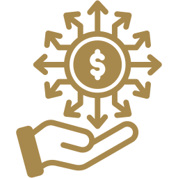 Customized Investment Options